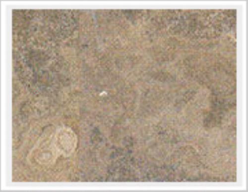 Square Polished Kapta Honey Lime Stone, for Kitchen, Feature : Crack Resistance, Stain Resistance