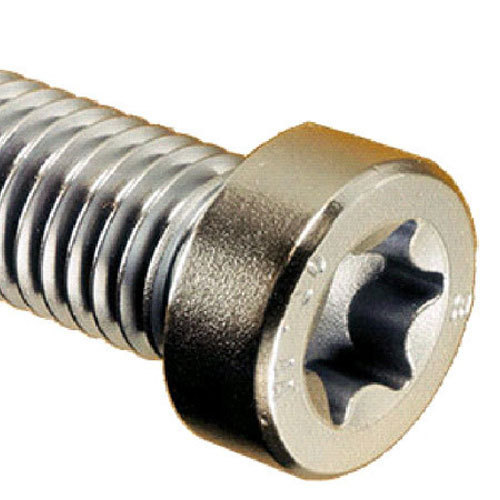 Stainless Steel Torx Head Screw, for Fittings Use, Feature : Durable