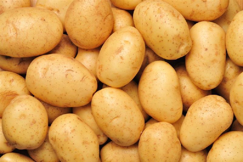 Natural potato, Shelf Life : 3 Months
