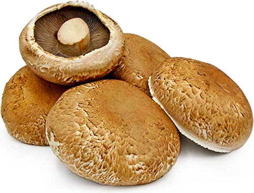 Fresh Portobello Mushroom