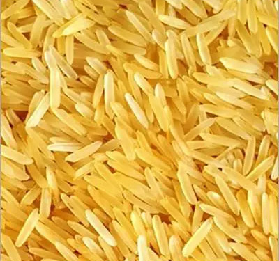 1509 Golden Sella Basmati Rice, Packaging Size : 25 to 100 Kg
