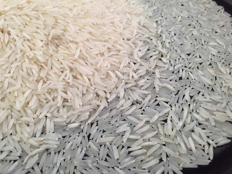 Organic Traditional Raw Basmati Rice, Variety : Long Grain