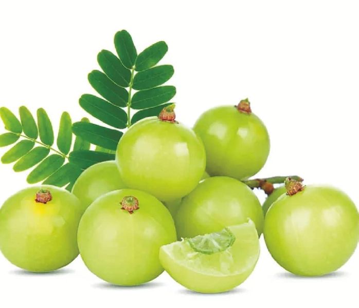 indian-gooseberry-manufacturer-in-sabarkantha-gujarat-india-by-jainam