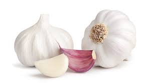Fresh garlic, for Cooking, Packaging Type : Gunny Bags, Plastic Bags
