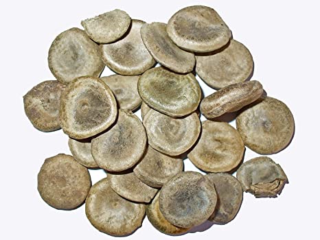 Nux Vomica Seeds, for Clinical, Packaging Size : 10-20 Kg