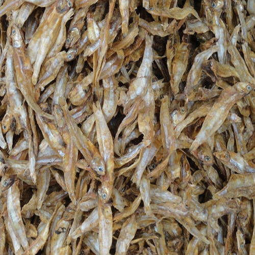 dry fish