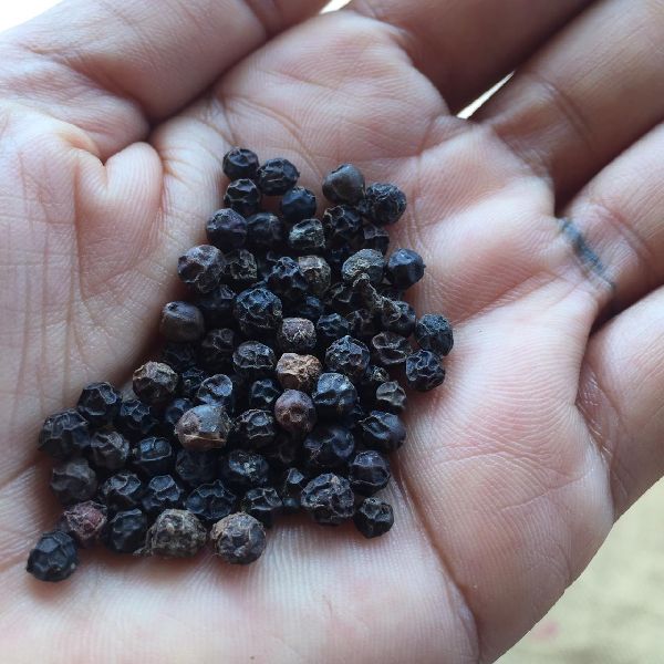 Organic black pepper, for Cooking, Style : Raw