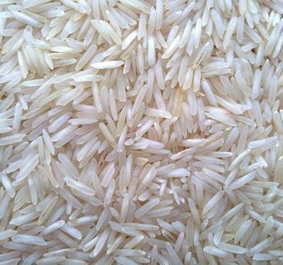 Soft Organic Sharbati Non Basmati Rice, for High In Protein, Variety : Long Grain, Medium Grain, Short Grain