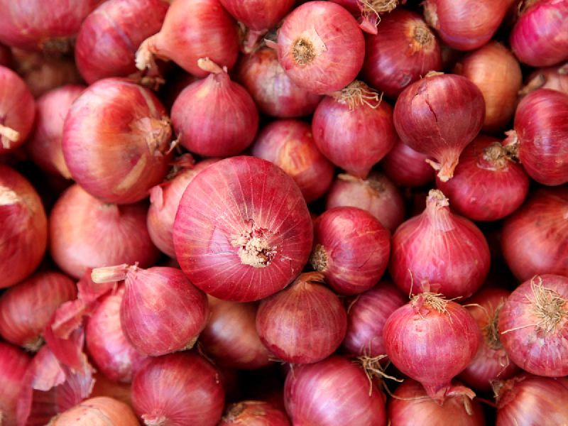 Fresh onion, Packaging Type : Jute Bags, Net Bags, Plastic Bags
