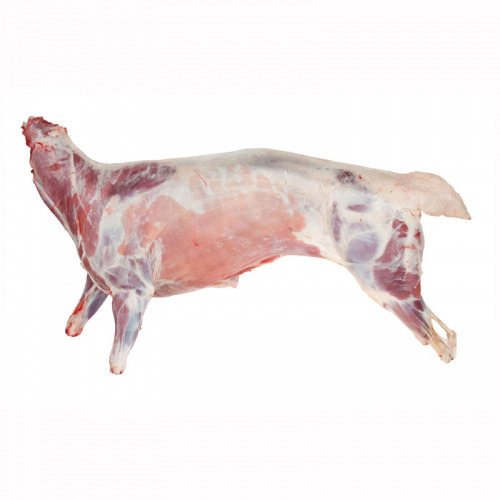 Mutton Carcass, for Hotel, Restaurant