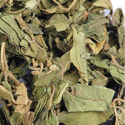 Organic Dried Gymnema Leaf, for Medicinal, Packaging Type : Plastic Bag