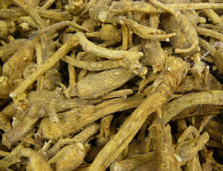Common Sarasaparilla Roots/Anantmool (Nannari Roots), Style : Dried