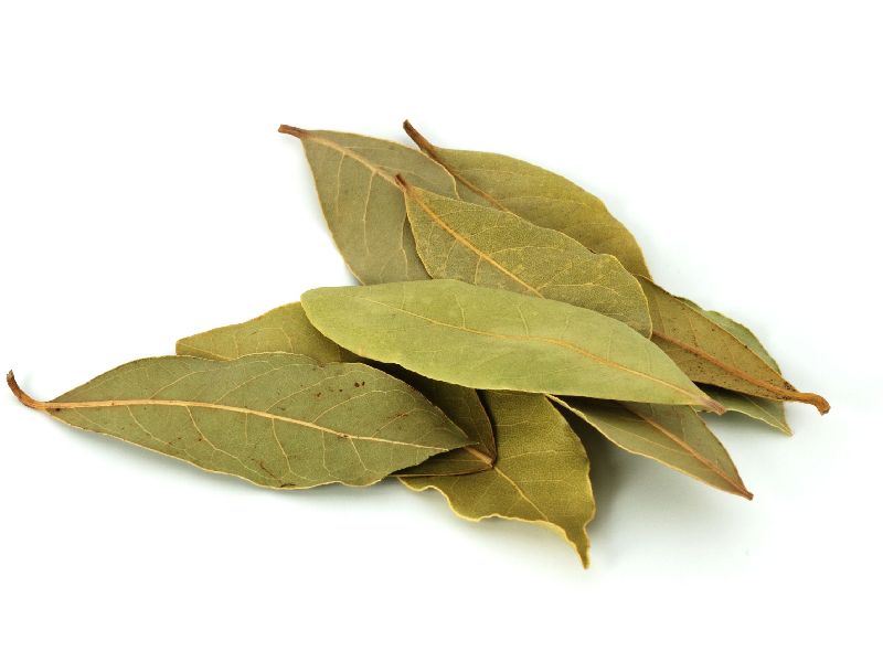 Dried Bay Leaves, Packaging Type : Polybag
