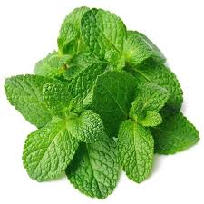 Organic Fresh Mint Leaves, Feature : High Nutrition