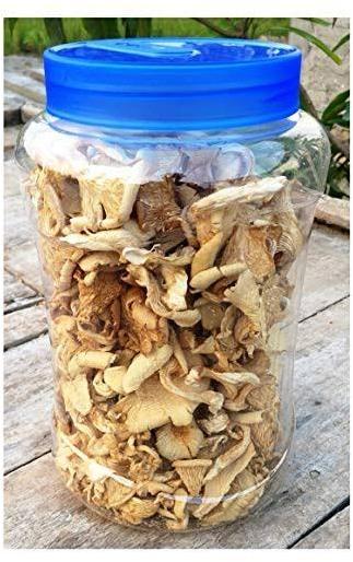 Dry oyster mushroom, Feature : Hygenic
