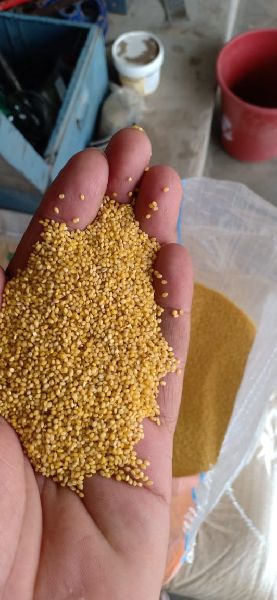 Nature food in Anantapur - Supplier of foxtail millet & Browntop Millet