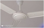 Ceiling Fans Runner Standard