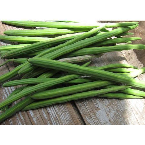 Organic Fresh Drumstick, for Cooking, Feature : Non Harmul