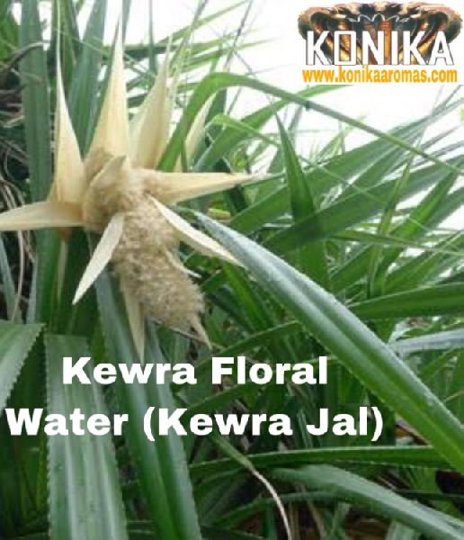 KONIKA KEWRA FLORAL WATER (KEVDA JAL)