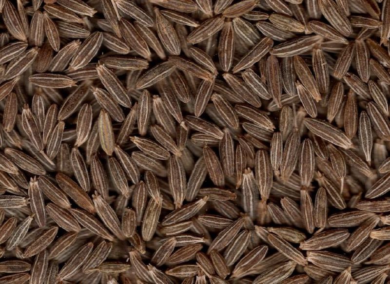 Cumin seeds, Style : Dried