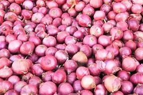 Dark Pink Krishnapuram Rose Onions, for Human Consumption, Packaging Size : 10 Kg