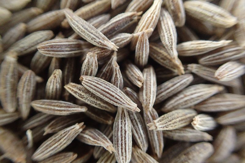 cumin seeds