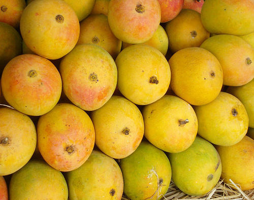 Fresh Hapus Mango, Packaging Type : Corrugated Box, Jute Bags