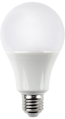 Cool Daylight LED Bulb