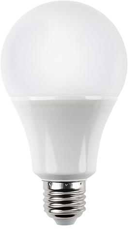 Round LED Bulb