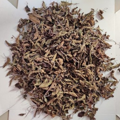 Shyama Tulsi Dry leaf(Ocimum Sanctum), for Skin Product Use, Purity : 99.9%