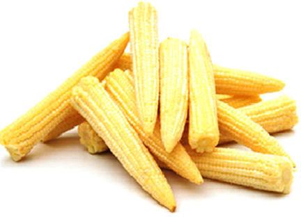 Fresh Baby Corn