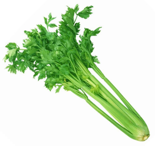 Organic Exotic Celery Leaves, Feature : Full With Iron, Good For Health, High In Vitamin D, Nutritious