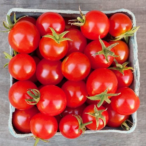 Cherry tomato, Packaging Size : 30-40kg