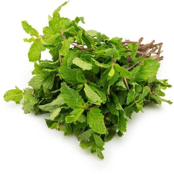 Fresh Mint Leaves, Feature : High Nutrition