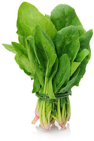Fresh Spinach, for Pesticide Free