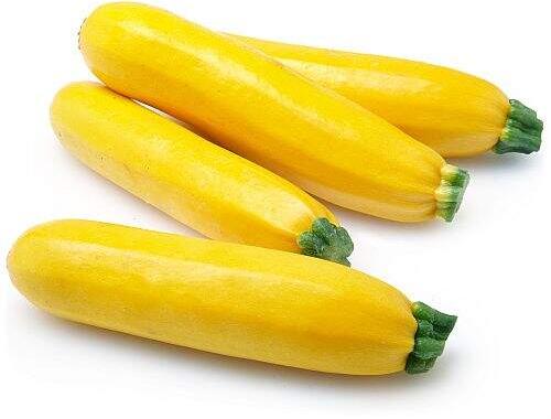 Fresh Yellow Zucchini, for Human Consumption, Packaging Type : Jute Bag