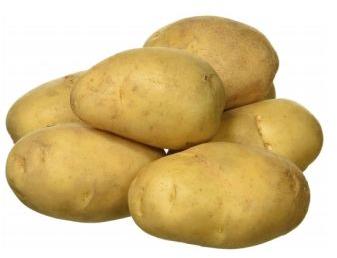 fresh potato