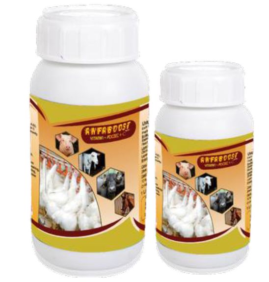 Anfaboost AD3E Vitamin Liquid