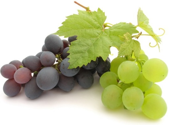 Natural fresh grapes, Variety : Sharad Seedless