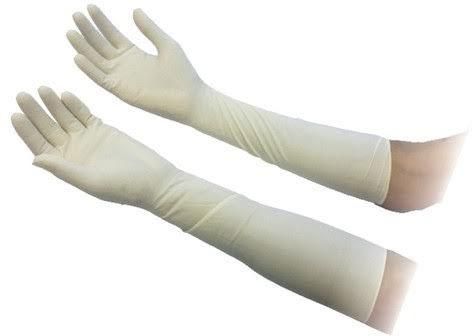 Gynecological Gloves