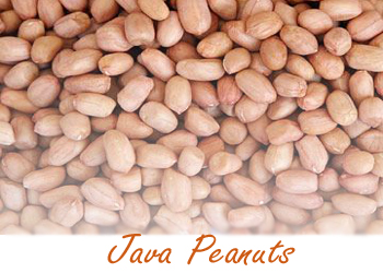 java peanuts