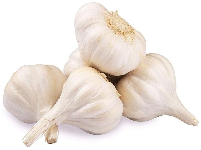 Common Fresh Organic Garlic, for Cooking, Color : White
