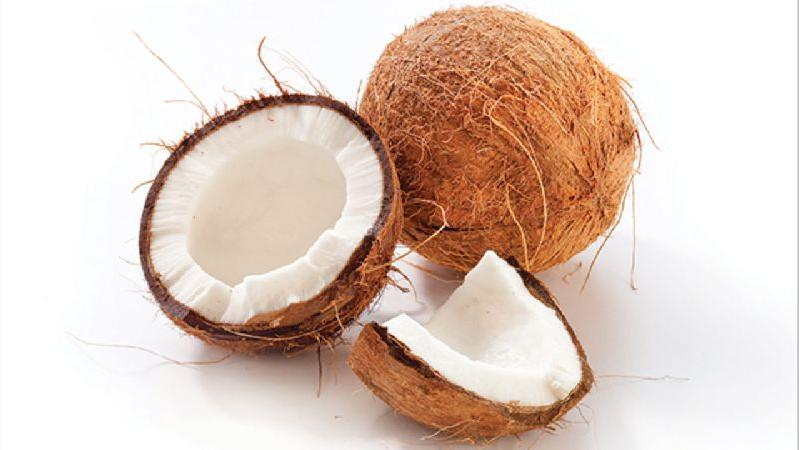 Common coconut, for Cosmetics, Medicines, Pooja, Cooking, Form : Solid