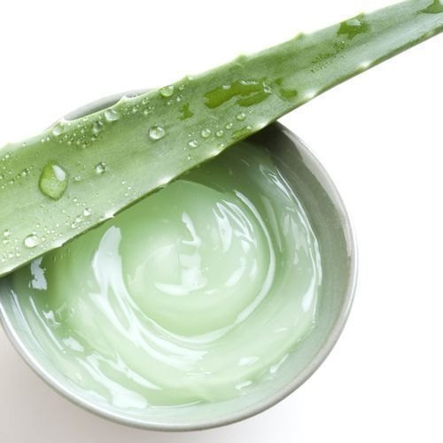 Ayurvedic Aloe Vera Pulp, for Parlour, Personal, Extraction Type : Solvent Extraction