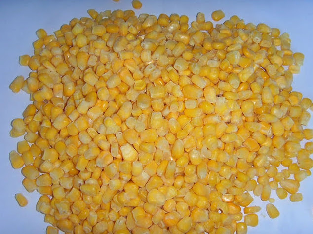 Best Quality Corn Grain