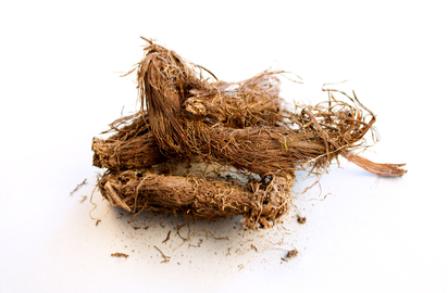Jatamansi Herb, Packaging Size : 10-20 Kg