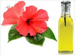 Organic Hibiscus Hair Oil