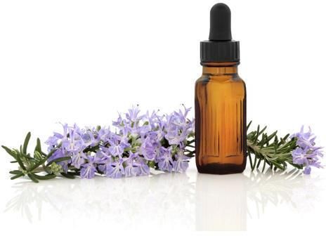 Organic Lavender Oil