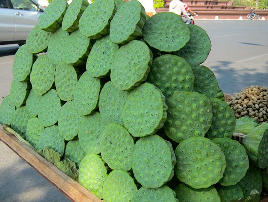 Lotus Fruit, for Puja