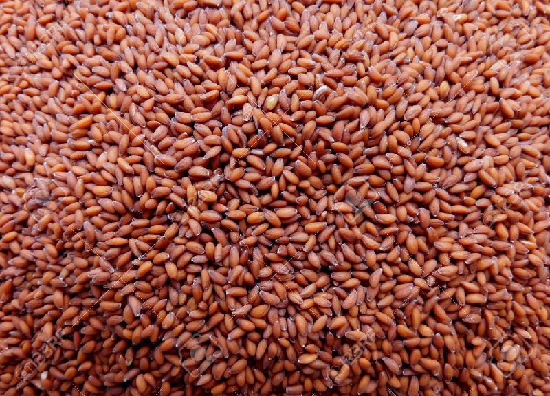 Common Organic Garden Cress Seeds, for Cosmetics, Medicines, Grade : Superior